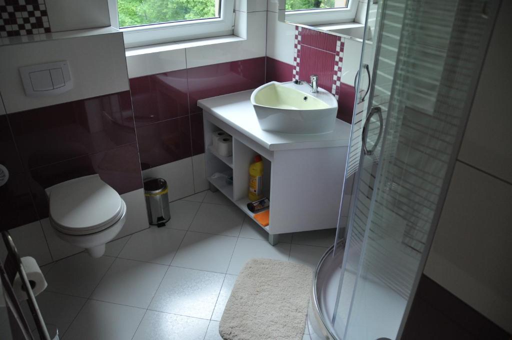 Willa Stenia Center Apartamenty Wisla Phòng bức ảnh